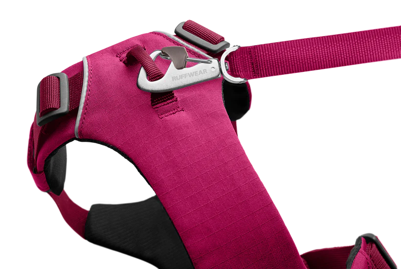 Front Range® Dog Harness - Hibiscus Pink