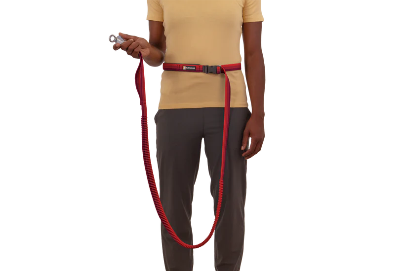 Roamer™ Bungee Dog Running Lead