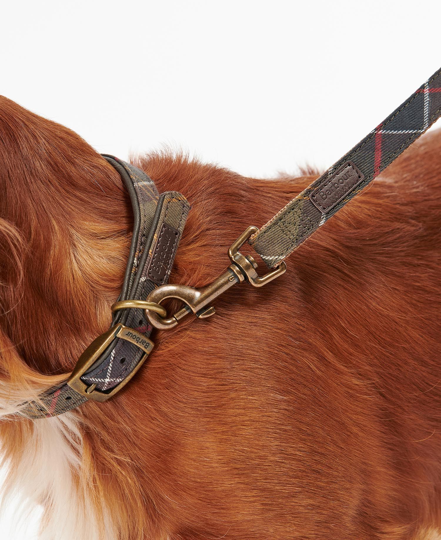 Tartan Webbing Dog Lead - Classic Tartan