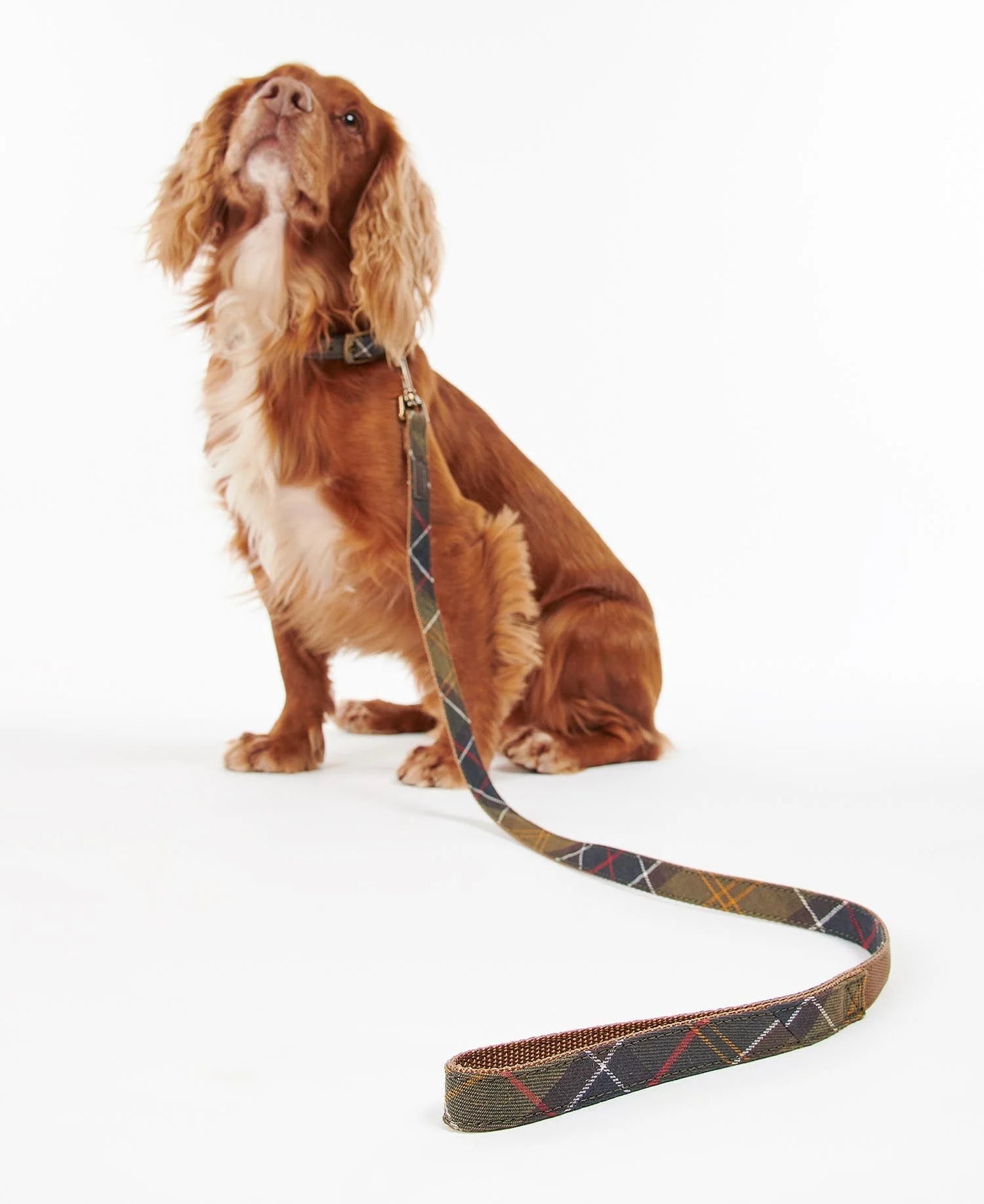 Tartan Webbing Dog Lead - Classic Tartan