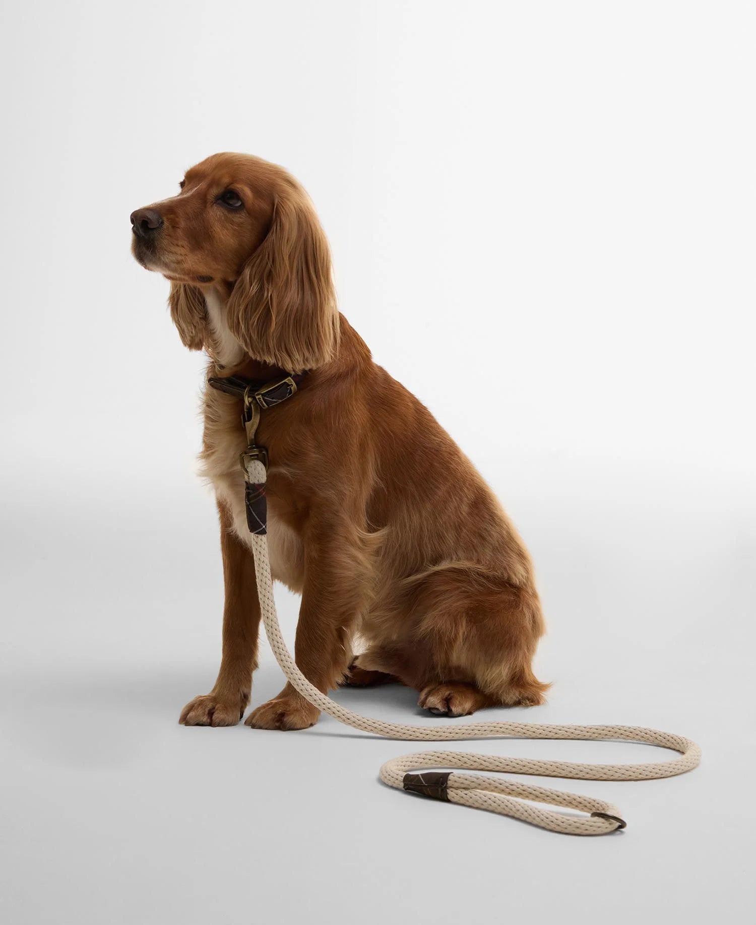 Rope Dog Lead - Natural/Classic