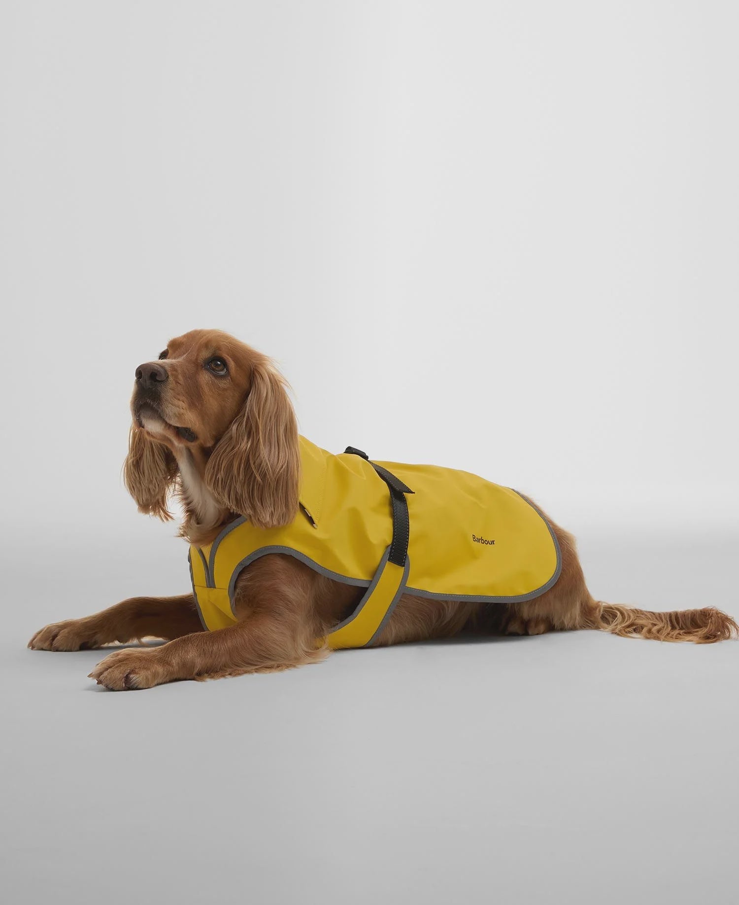 Evie Waterproof Dog Coat - Limeade