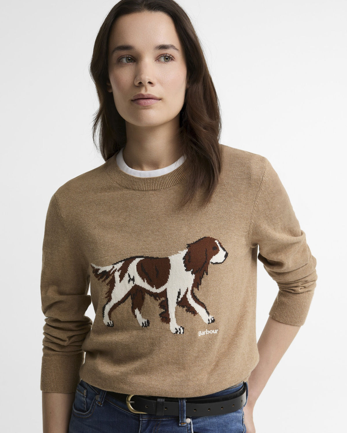Fareham Crew Neck Jumper - Warm Trench