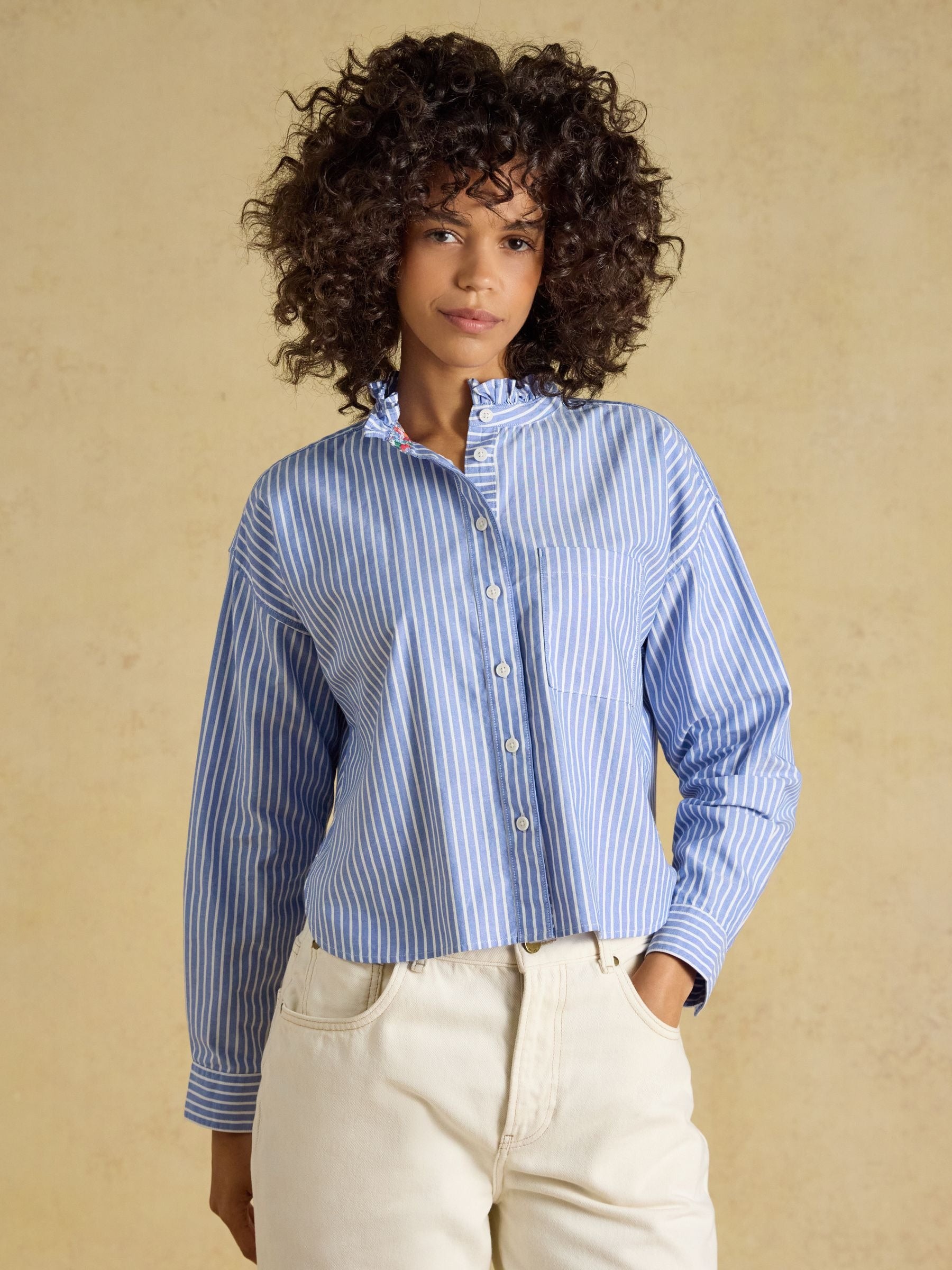 Blue & White Striped Cropped Oxford Shirt