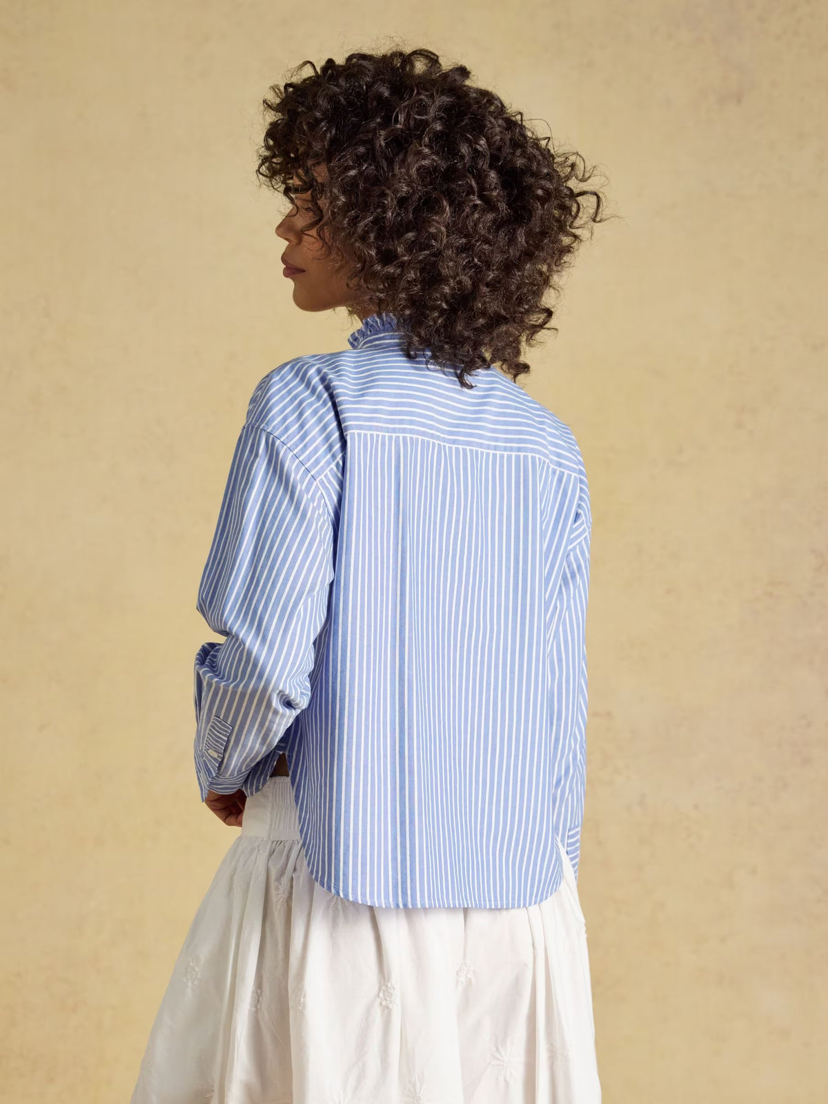 Blue & White Striped Cropped Oxford Shirt