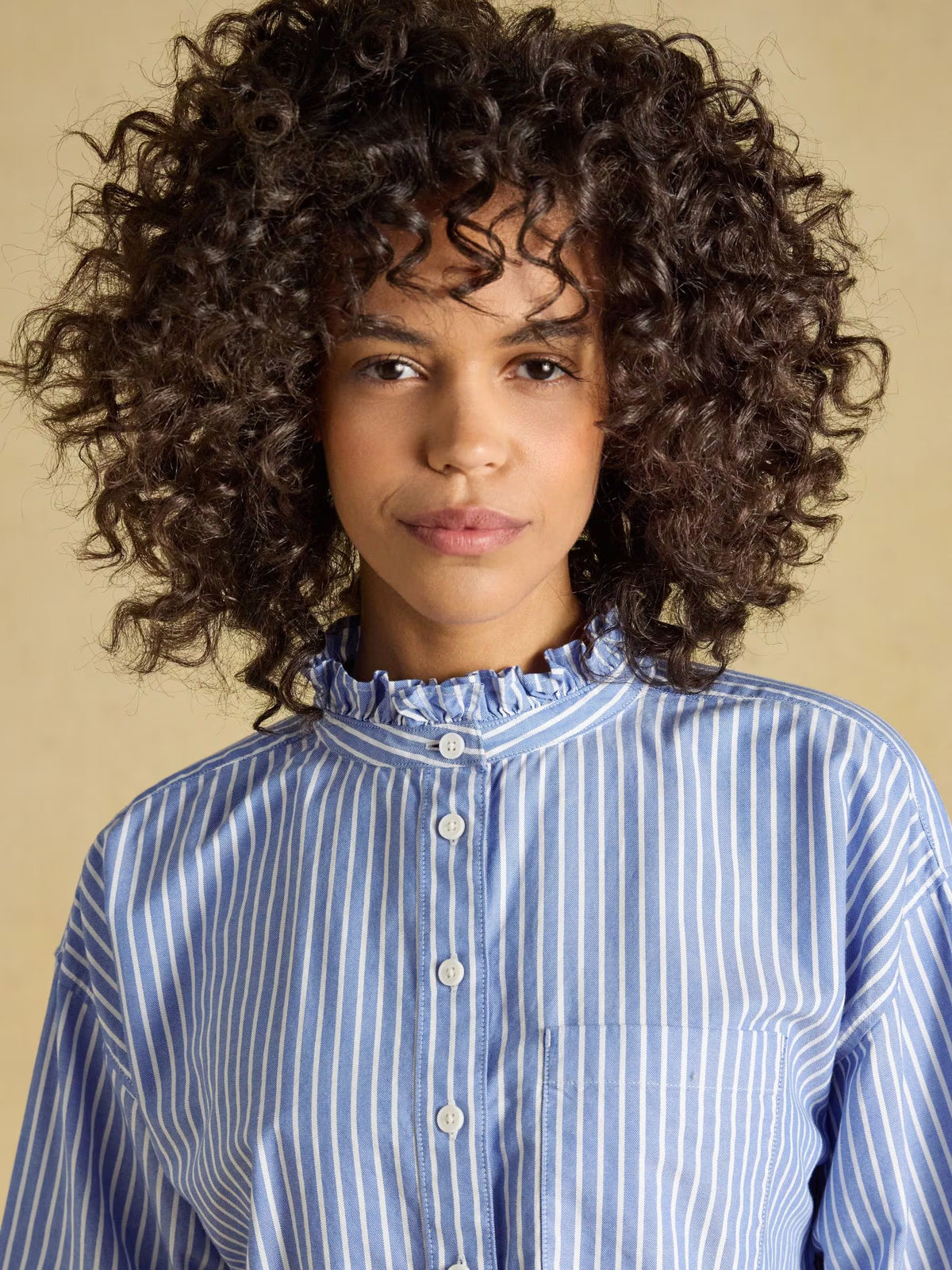 Blue & White Striped Cropped Oxford Shirt
