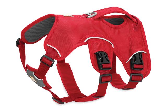 Webmaster Harness