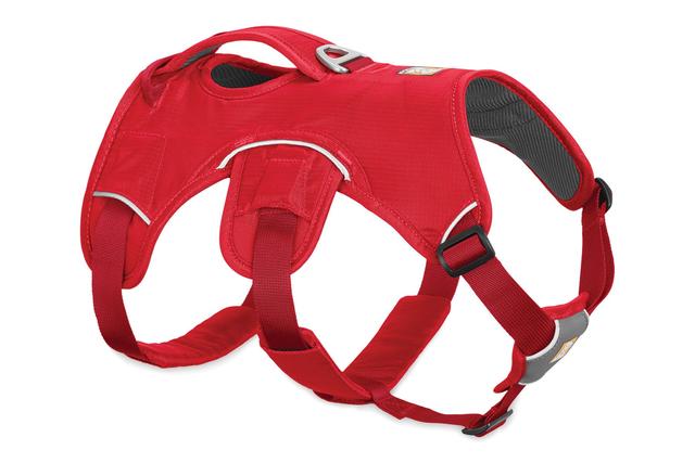 Webmaster Harness
