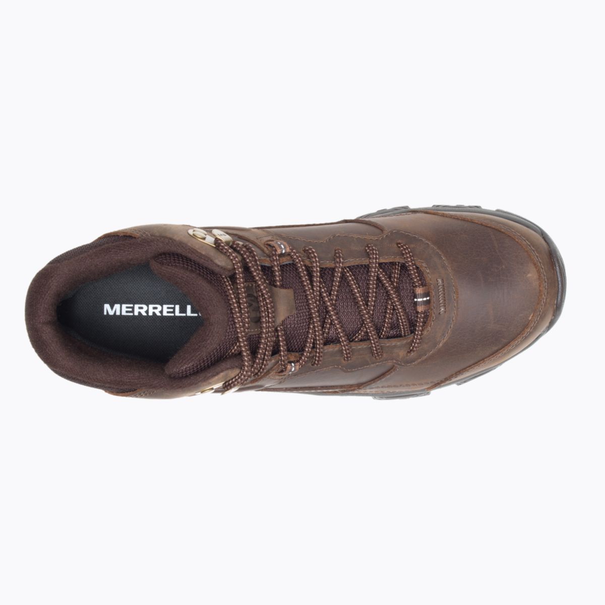 Men's Adventure 3 Moab Mid - Earth