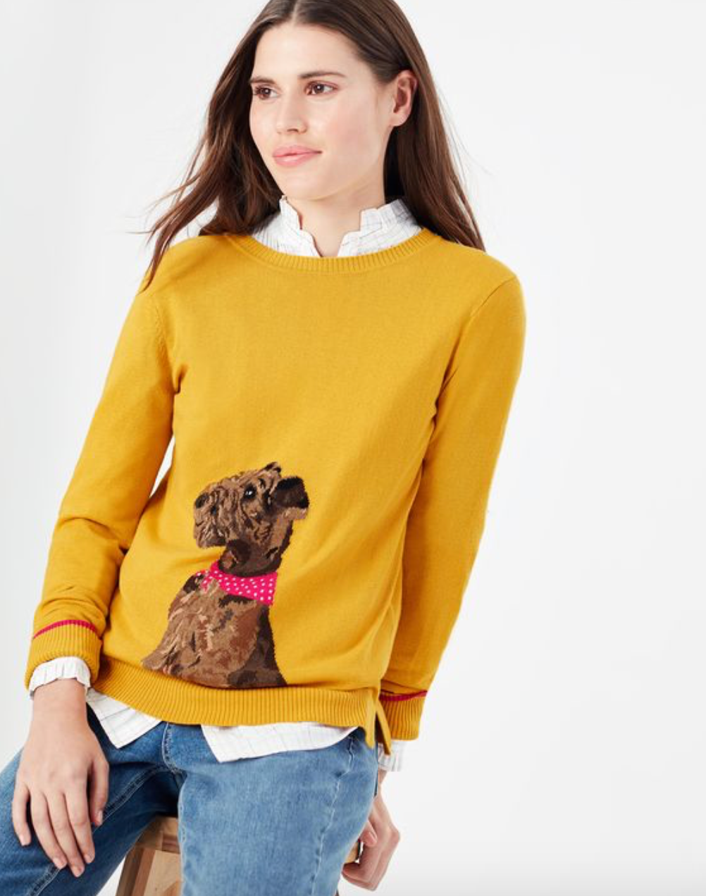 Women's Miranda Miranda Knitted Intarsia Crew Neck - Gold Dog