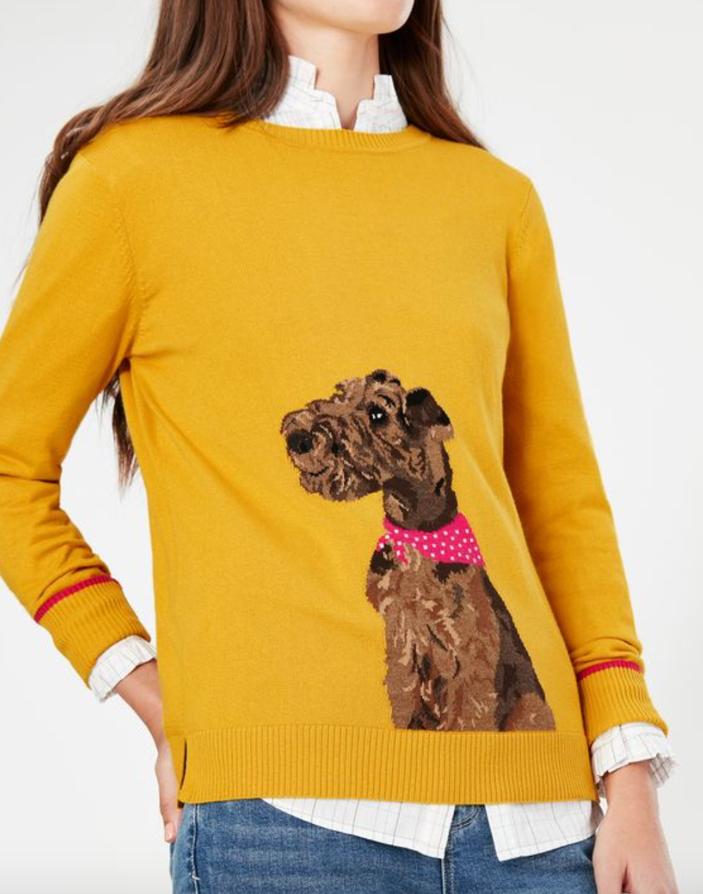 Women's Miranda Miranda Knitted Intarsia Crew Neck - Gold Dog