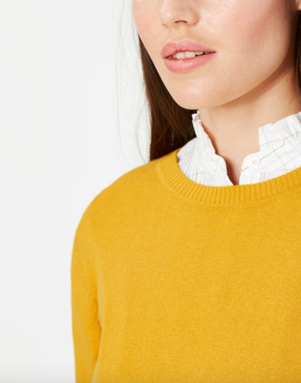 Women's Miranda Miranda Knitted Intarsia Crew Neck - Gold Dog