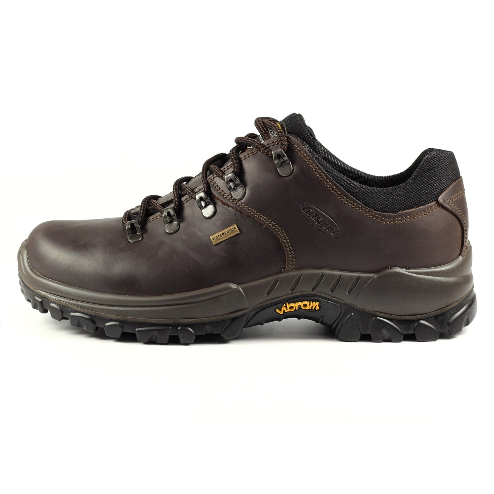 Dartmoor Shoe - Brown