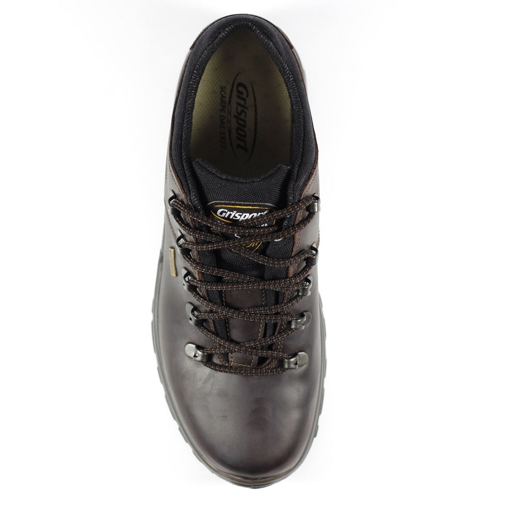 Dartmoor Shoe - Brown