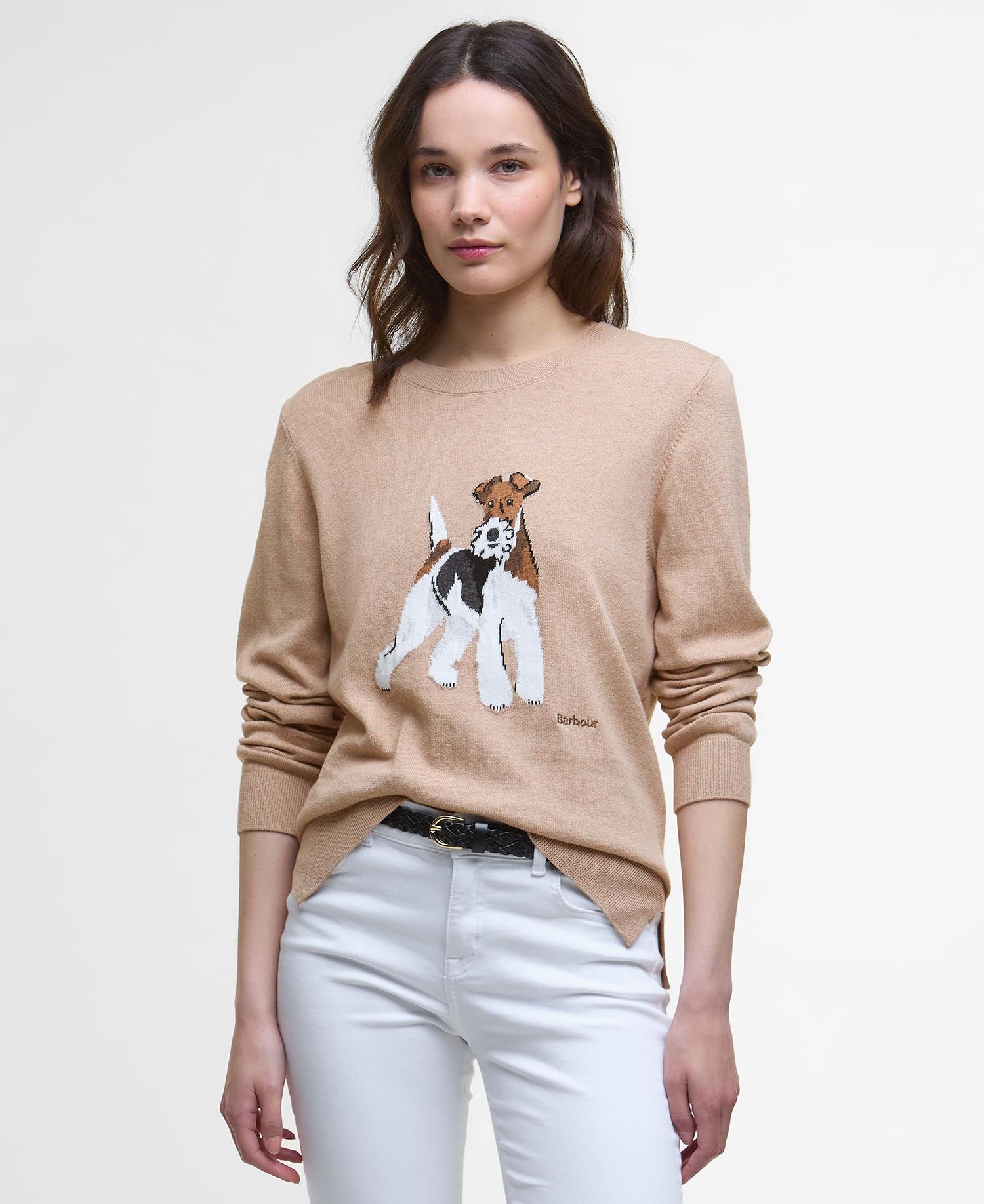 Fareham Crew Neck Jumper - Pale Camel