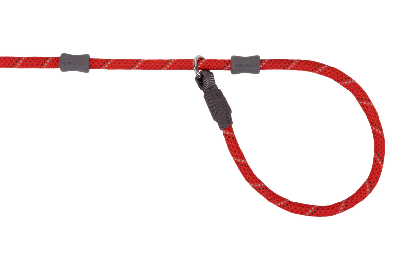 Just-a-Cinch™ Dog Slip Lead