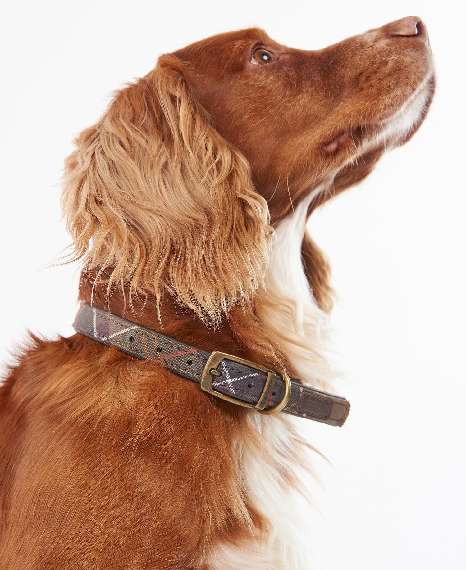 Tartan Leather Dog Collar - Classic Tartan