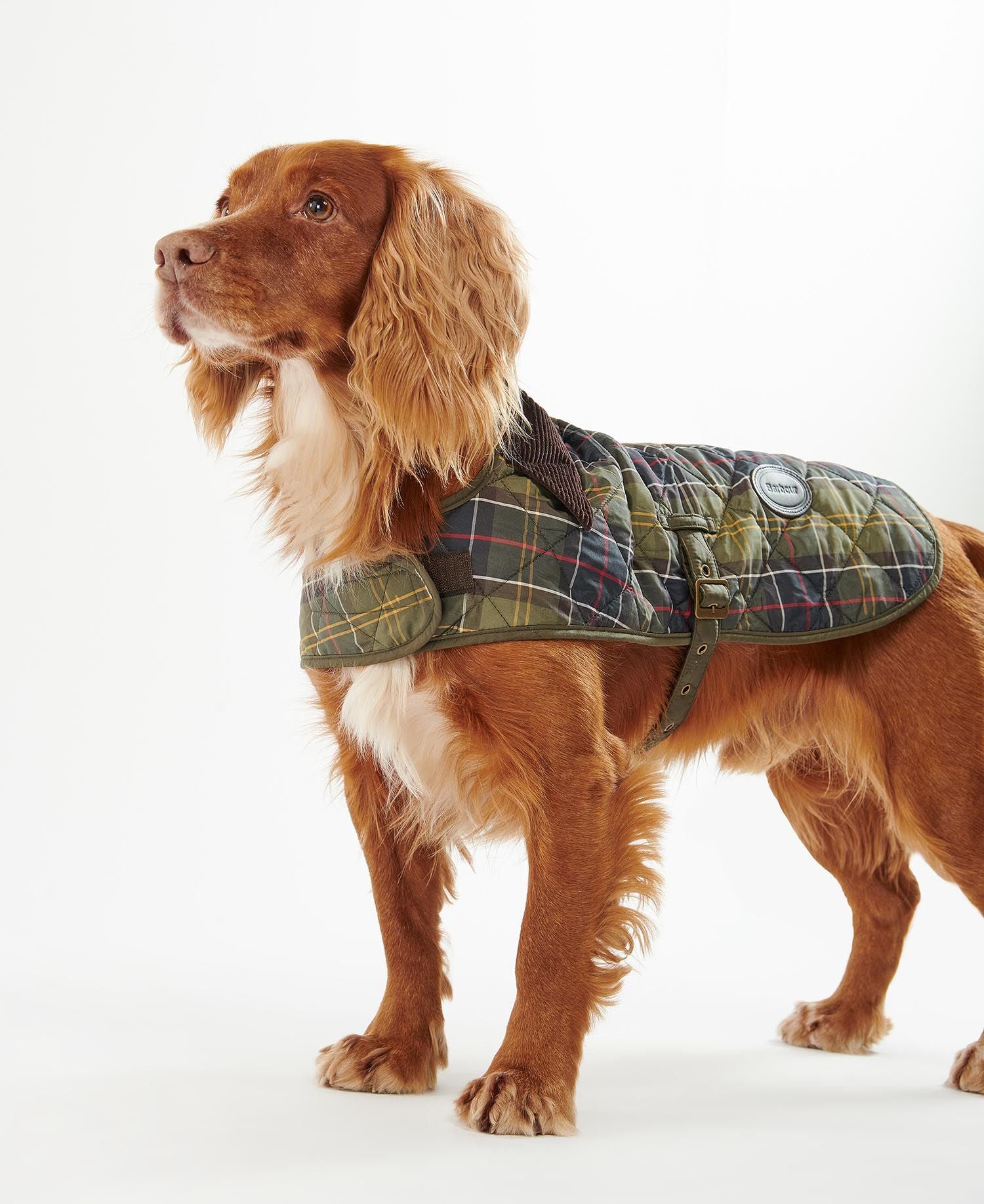 Tartan Dog Coat - Classic Tartan