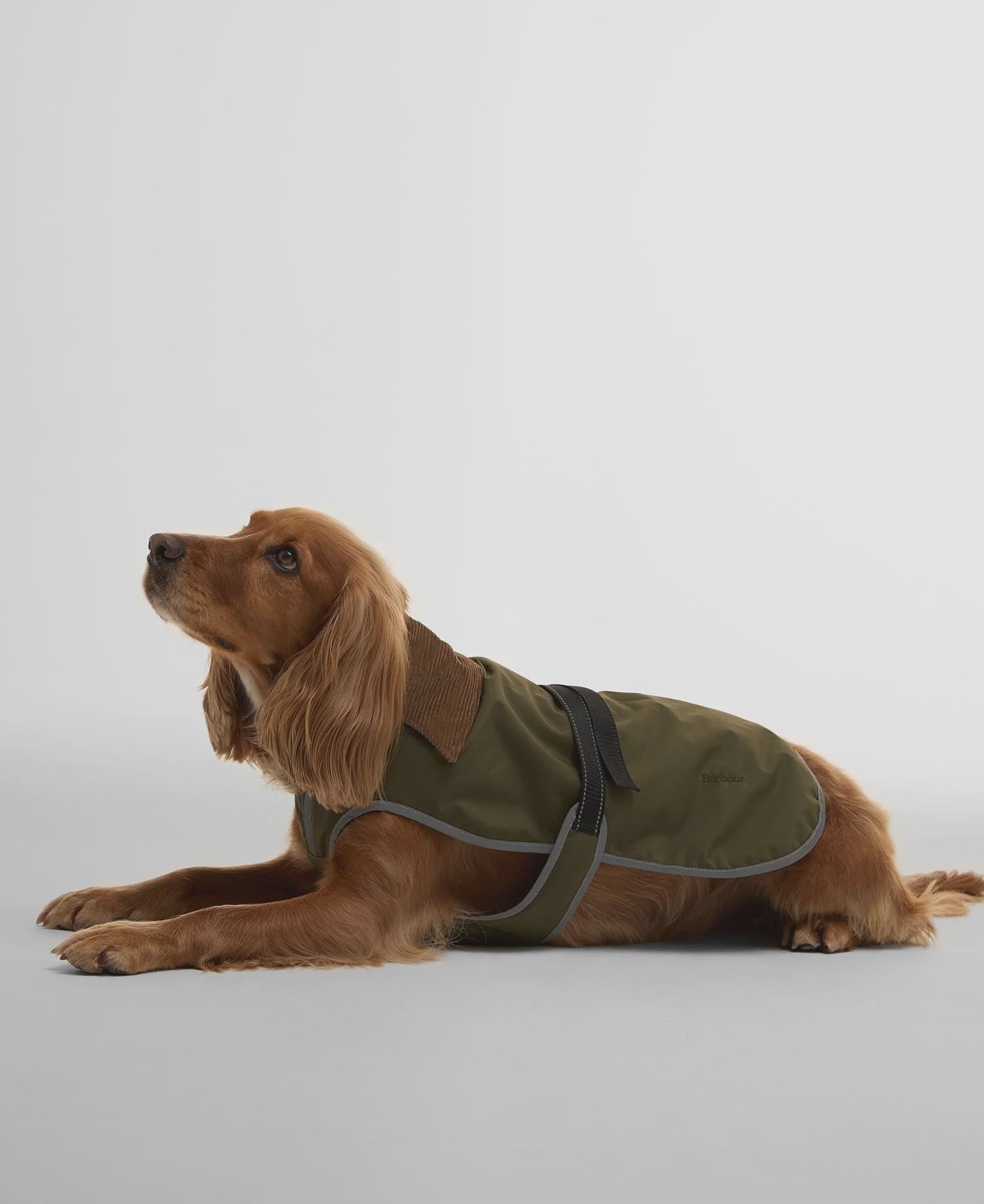 Monmouth Waterproof Dog Coat - Olive
