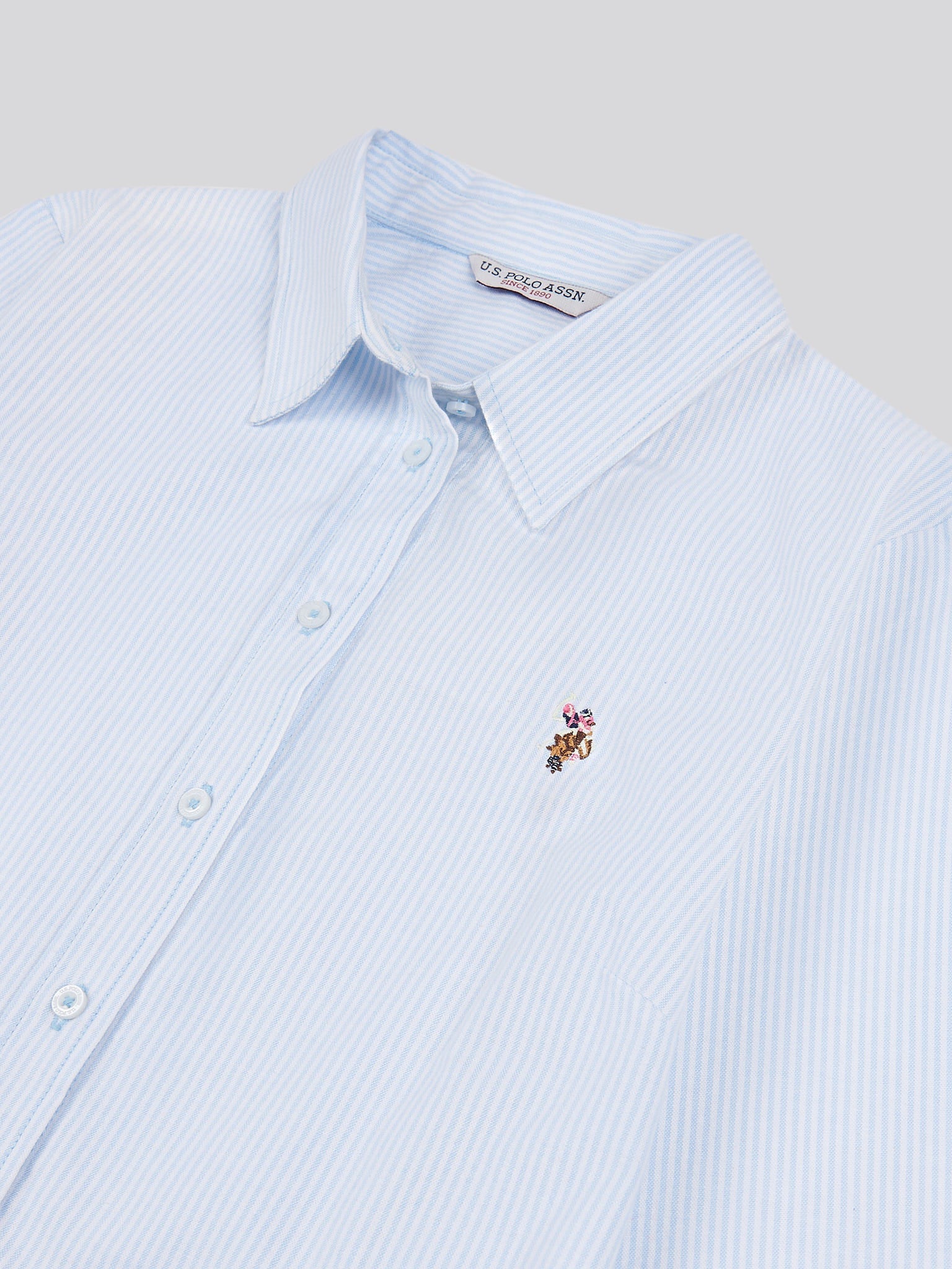 Womens Stripe Stretch Classic Fit Oxford Shirt in Windsurfer