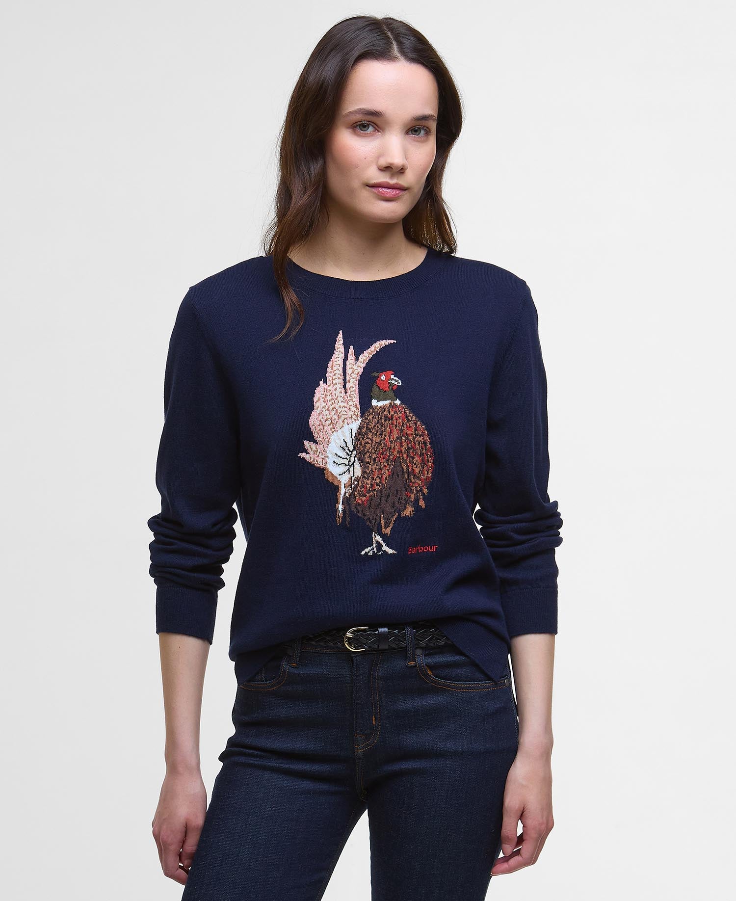 Homeswood Crew Neck Jumper - Navy