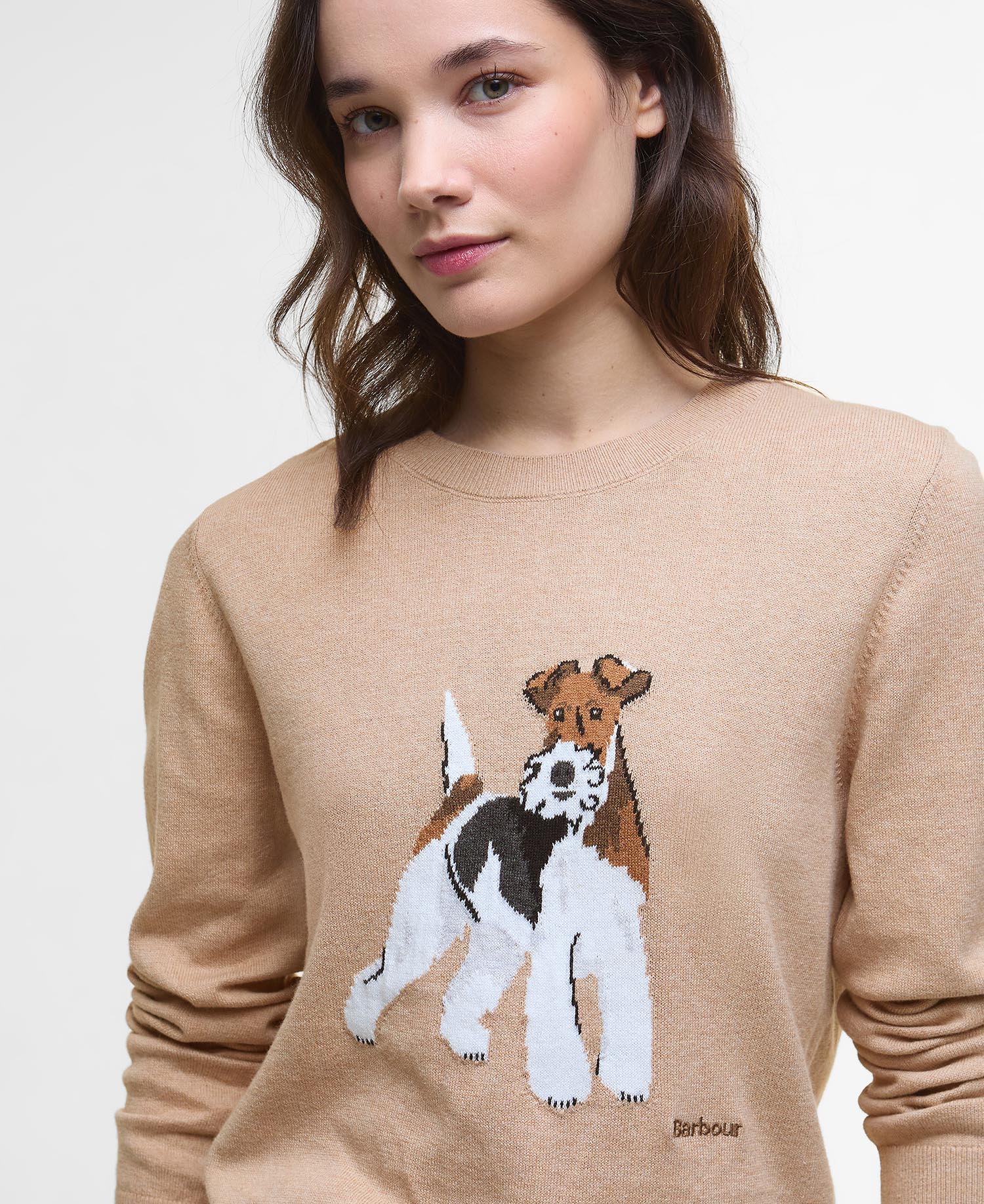 Fareham Crew Neck Jumper - Pale Camel