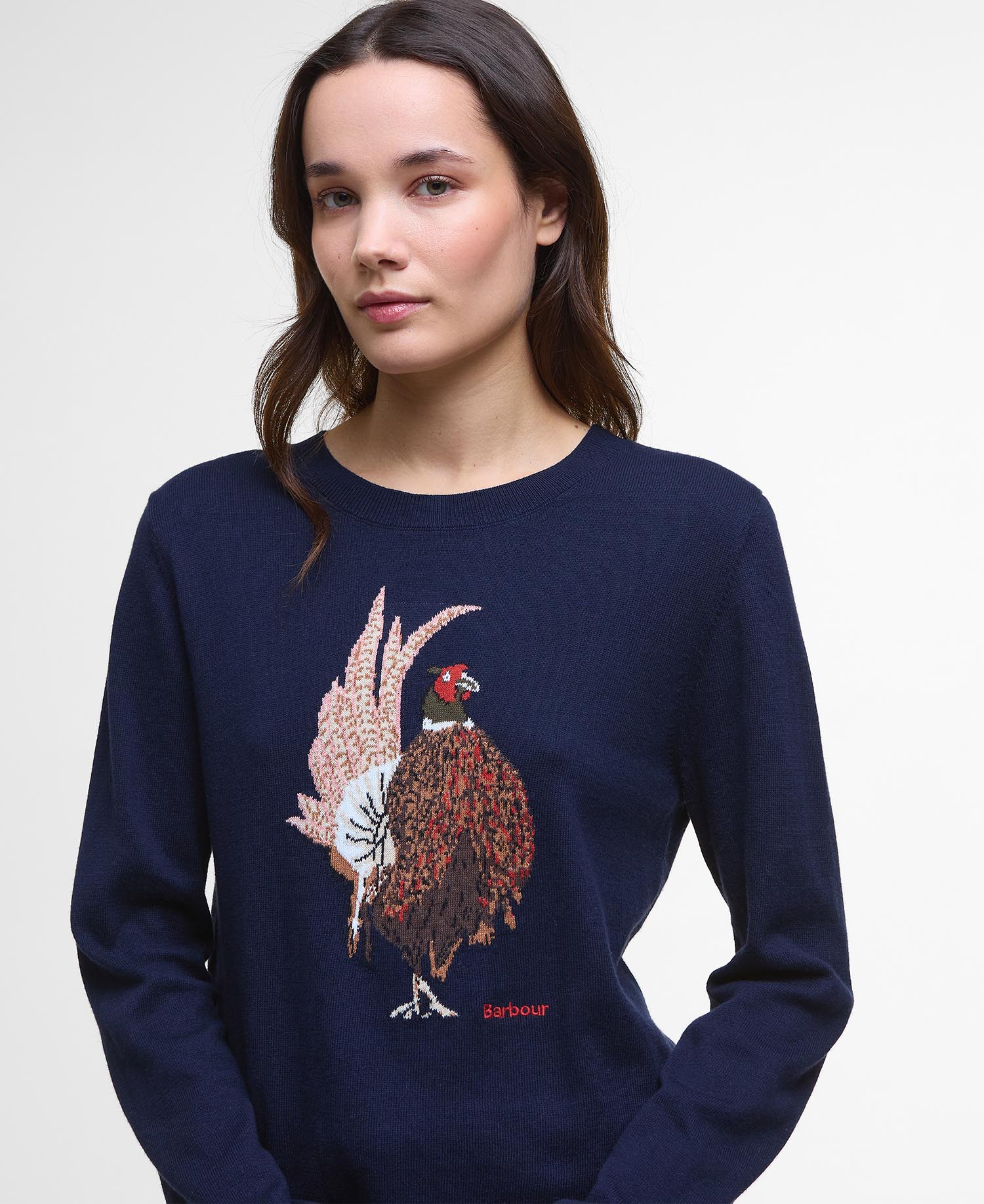 Homeswood Crew Neck Jumper - Navy