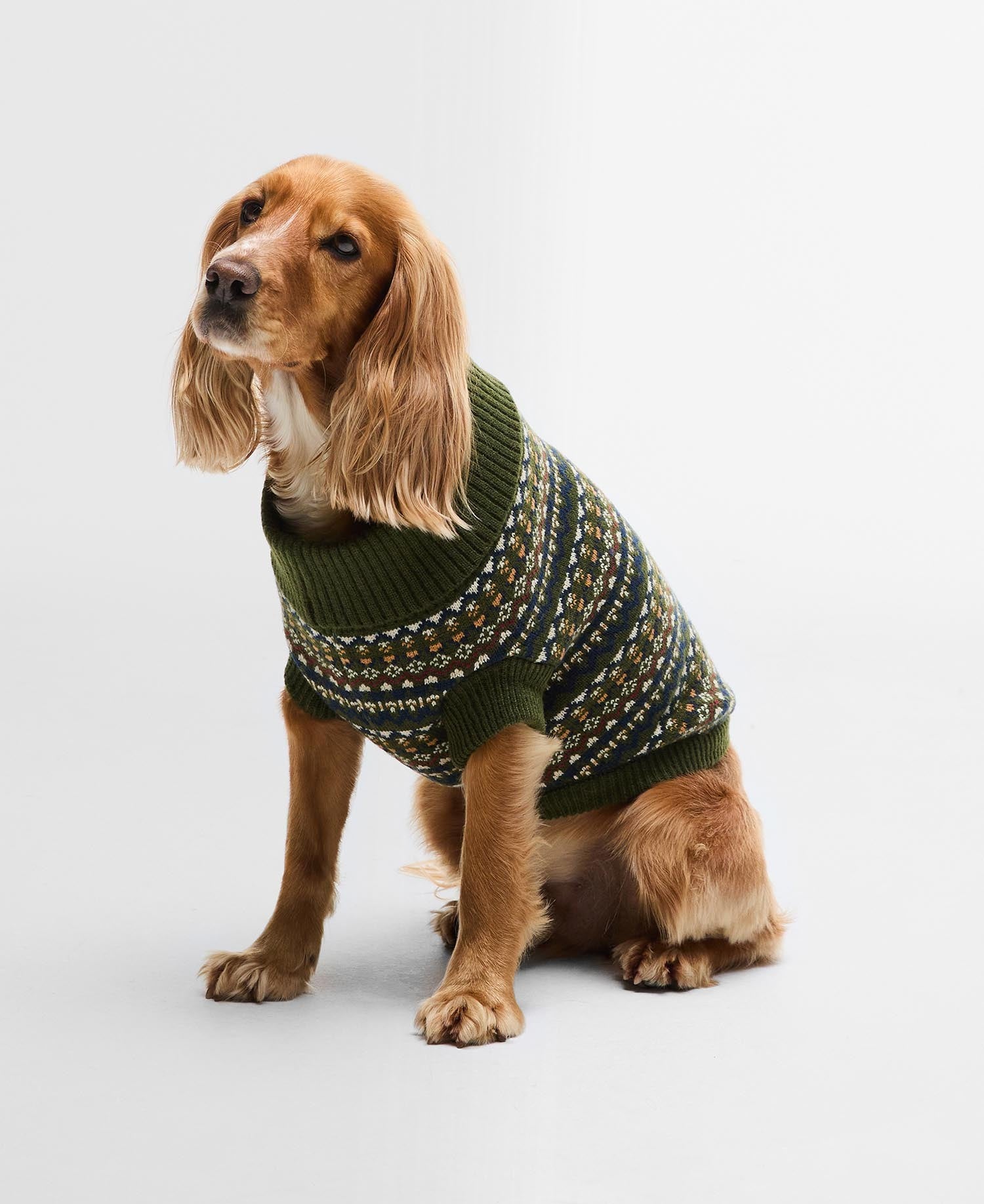 Marlow Fair Isle Dog Jumper - Olive