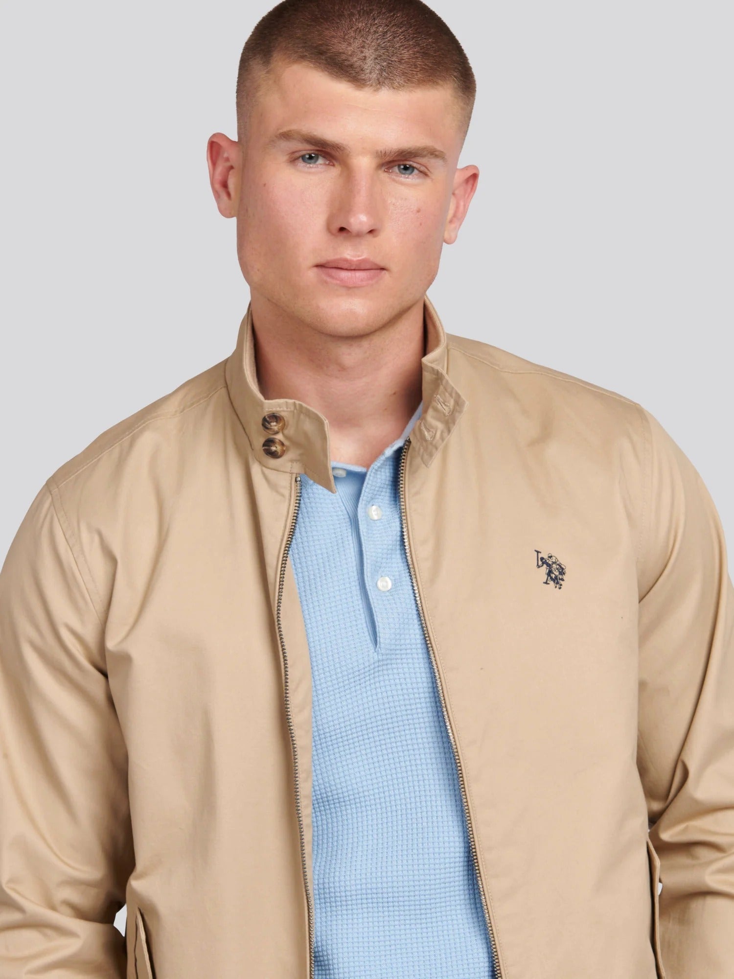 Men's Cotton Twill Harrington Jacket in Cornstalk