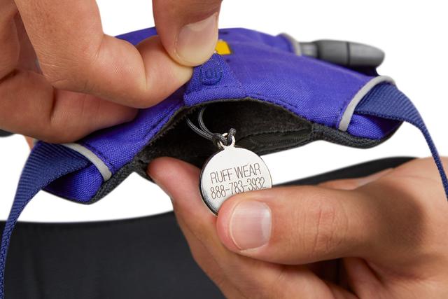 Front Range Harness Huckleberry Blue