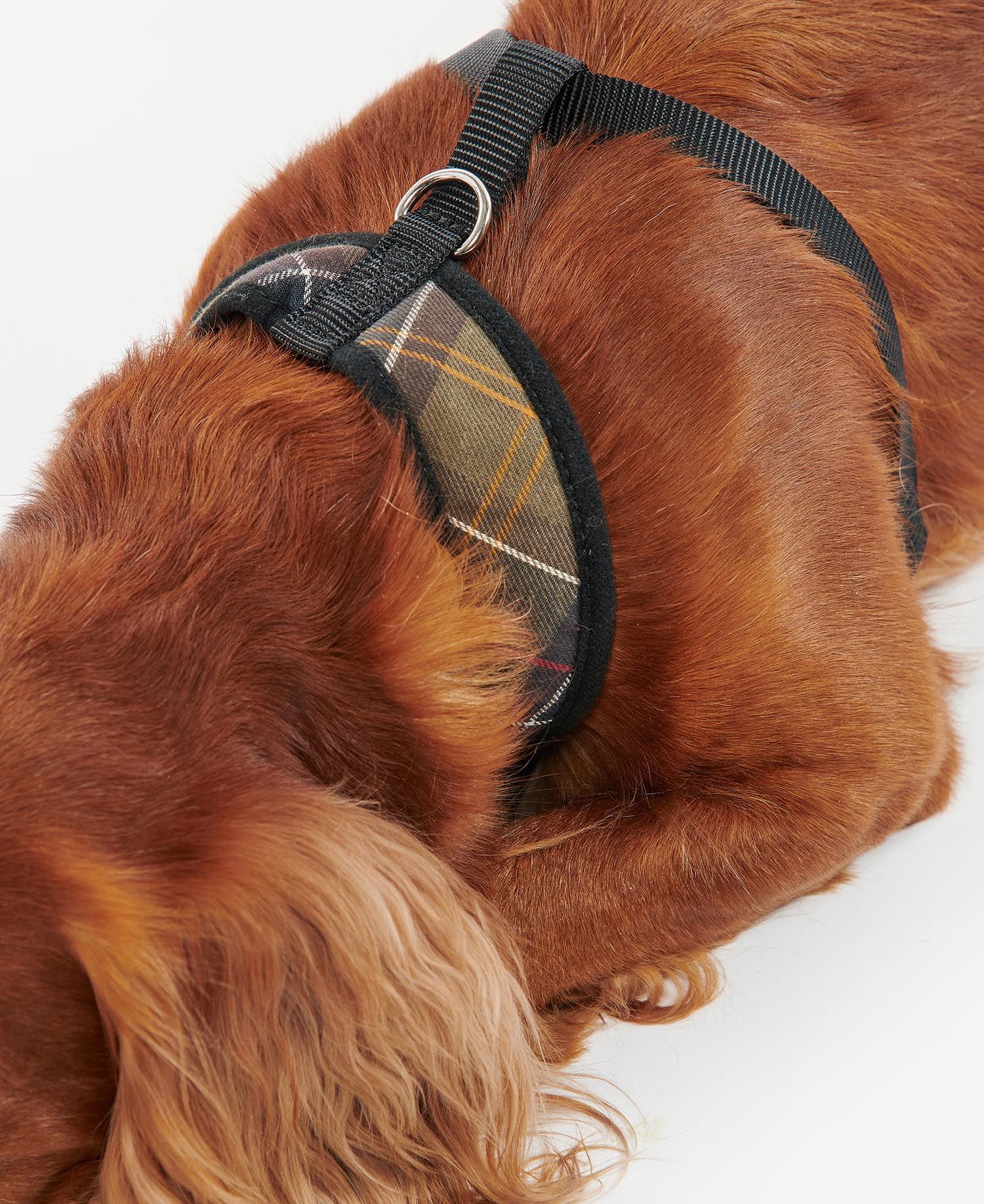 Classic Tartan Dog Harness