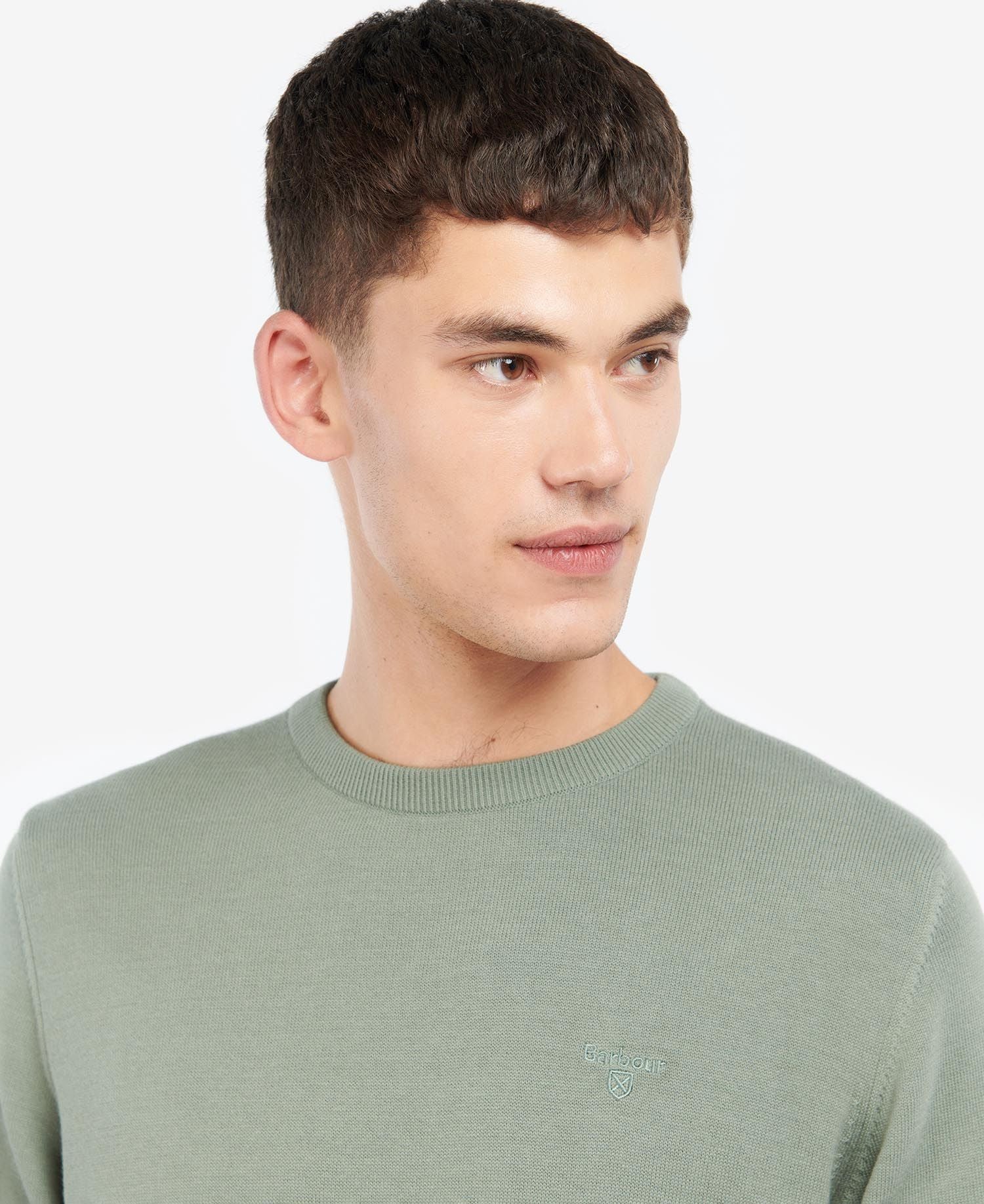 Men's Ridsdale Crew Neck - Agave Green