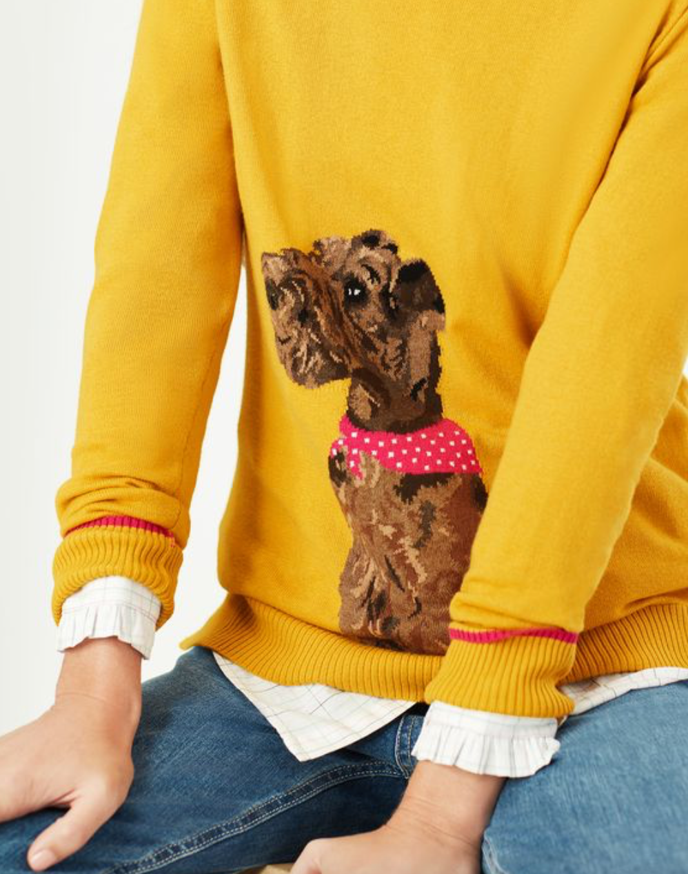 Women's Miranda Knitted Intarsia Crew Neck - Gold Dog