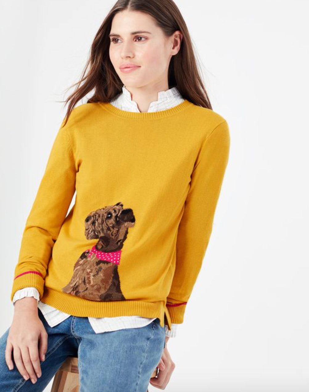 Women's Miranda Knitted Intarsia Crew Neck - Gold Dog