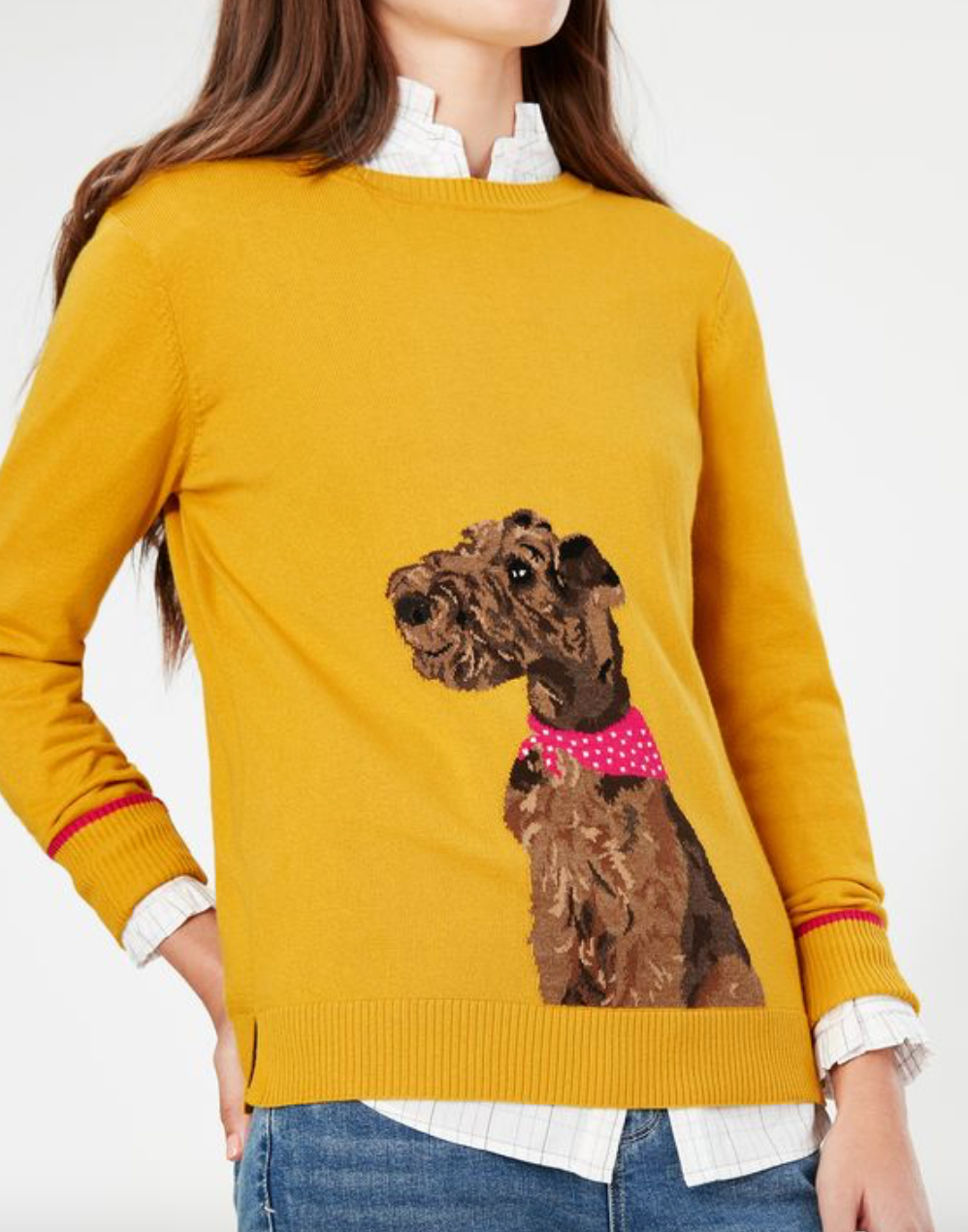 Women's Miranda Knitted Intarsia Crew Neck - Gold Dog